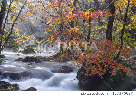 [Aomori Prefecture_Oirase Gorge] Autumnal Ishigedo in October 133370657