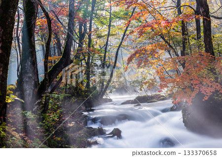 [Aomori Prefecture_Oirase Gorge] Autumnal Ishigedo in October 133370658