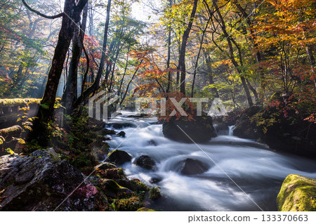 [青森縣_奧入瀨溪谷]十月的秋色石枝戶 133370663