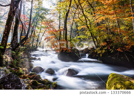 [Aomori Prefecture_Oirase Gorge] Autumnal Ishigedo in October 133370666