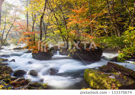 [Aomori Prefecture_Oirase Gorge] Autumnal Ishigedo in October 133370674