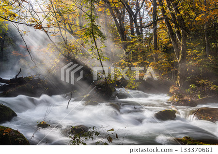 [Aomori Prefecture_Oirase Gorge] Autumnal Ishigedo in October 133370681