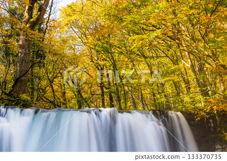 【青森縣_奧入瀨峽谷】秋季銚子瀑布（十月） 133370735