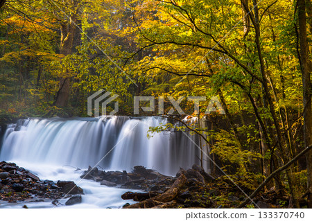[Aomori Prefecture_Oirase Gorge] Choshi Falls in Autumn (October) 133370740