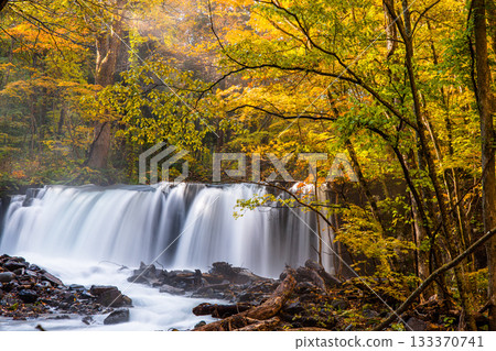 [Aomori Prefecture_Oirase Gorge] Choshi Falls in Autumn (October) 133370741