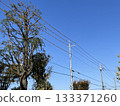 Electric poles, power lines, autumn sky 133371260