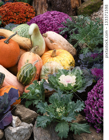 Decorative Pumpkins and Ornamental Kale in Cluj-Napoca Botanical Garden 133371598
