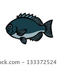 Cute Gre illustration 133372524
