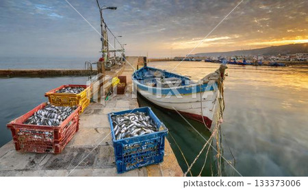boats on the shore, moored boats, yachts, yachts, yachts, yachts and yachts 133373006