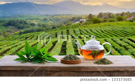 tea in the tea plantation 133373085