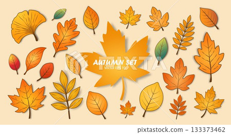 A set of autumn leaves isolated on a beige background. Hello autumn. A set of autumn leaves isolated on a beige background. Hello autumn. 133373462