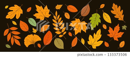 Autumn set of leaves of different shapes and colors on a dark background. 133373506