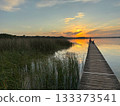 Fishermen catch fish from a wooden pier at sunset over a calm lake 133373541
