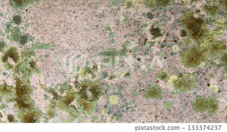 Various lichens on granite surface forming a natural pattern in green, yellow, and pink tones Various lichens on granite surface forming a natural pattern in green, yellow, and pink tones 133374237