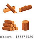 Set of lumber. Collection include wooden logs, stump, firewood and tree branch. Isolated vector illustration in cartoon flat style. 133374589