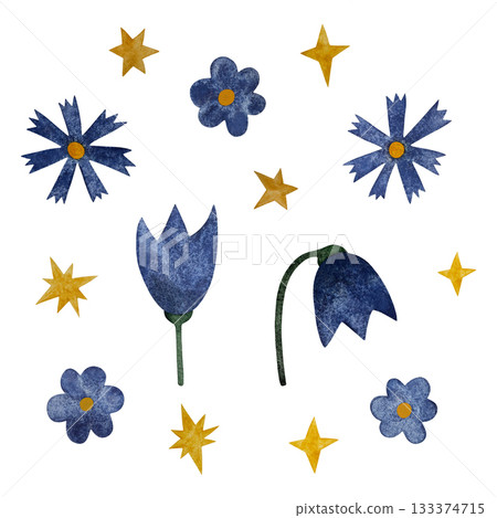 Watercolor blue wildflowers and stars. Blue wildflowers and yellow stars set isolated on white. Watercolor blue wildflowers and stars. Blue wildflowers and yellow stars set isolated on white. 133374715
