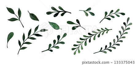 Watercolor green foliage set. Collection of various green branches and leaves isolated on white. 133375043