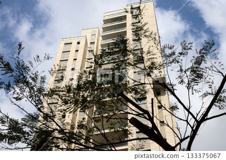 Houses in Tel Aviv against a backdrop of tall trees 133375067
