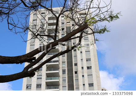 Houses in Tel Aviv against a backdrop of tall trees 133375098