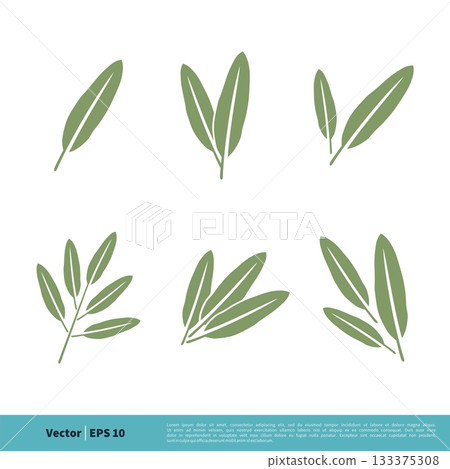 Sage Leaves Icon Vector Logo Template Illustration Design. Vector EPS 10. Sage Leaves Icon Vector Logo Template Illustration Design. Vector EPS 10. 133375308