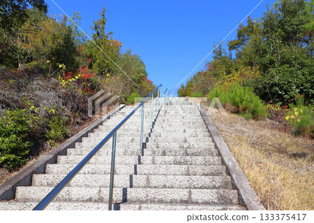 川島宮八幡神社的秋天（岡山縣倉敷市） 133375417