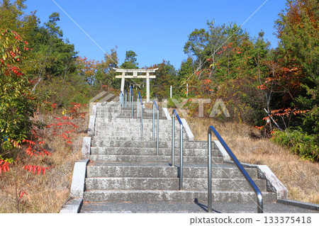 川島宮八幡神社的秋天(岡山縣倉敷市) 川島宮八幡神社的秋天(岡山縣倉敷市) 133375418