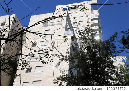 Houses in Tel Aviv against a backdrop of tall trees 133375712