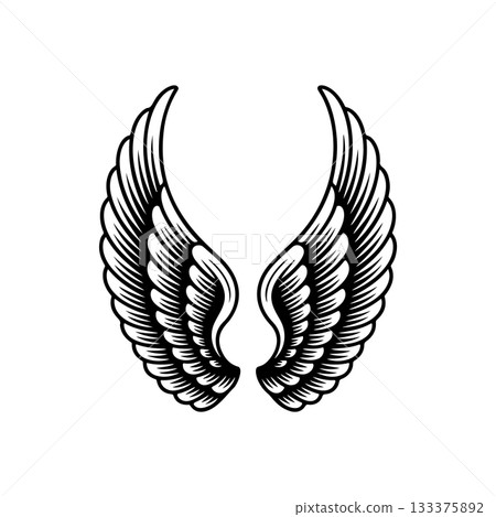 Vintage wings isolated on white background. Design elements for logo, label, emblem, sign, brand mark. Vector illustration. Vintage wings isolated on white background. Design elements for logo, label, emblem, sign, brand mark. Vector illustration. 133375892