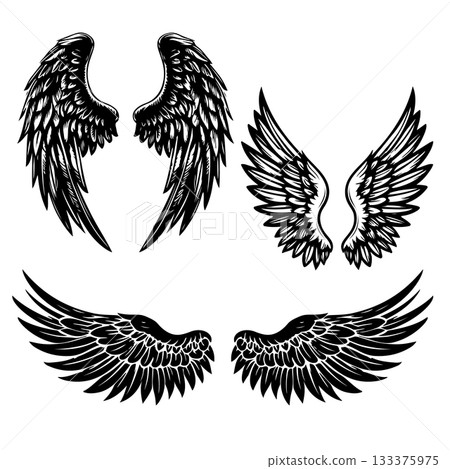 Set of bird wings isolated on white background. Design elements for logo, label, emblem, sign. Vector illustration Set of bird wings isolated on white background. Design elements for logo, label, emblem, sign. Vector illustration 133375975