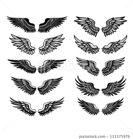 Set of bird wings isolated on white background. Design elements for logo, label, emblem, sign. Vector illustration 133375976
