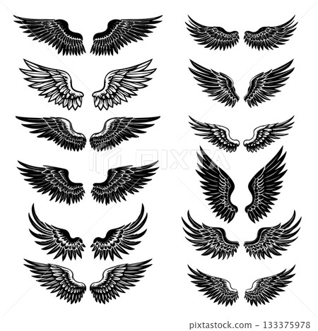 Set of bird wings isolated on white background. Design elements for logo, label, emblem, sign. Vector illustration 133375978