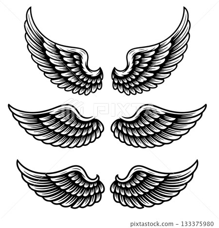 Set of bird wings isolated on white background. Design elements for logo, label, emblem, sign. Vector illustration 133375980
