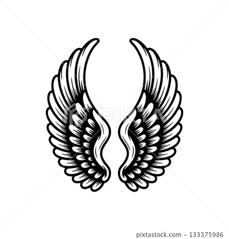 Vintage wings isolated on white background. Design elements for logo, label, emblem, sign, brand mark. Vector illustration. 133375986