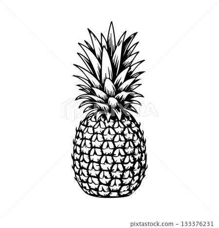 illustration of pineapple in engraving style. Design element for poster, label, sign, emblem, menu. Vector illustration illustration of pineapple in engraving style. Design element for poster, label, sign, emblem, menu. Vector illustration 133376231