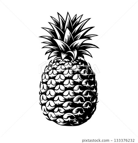 illustration of pineapple in engraving style. Design element for poster, label, sign, emblem, menu. Vector illustration illustration of pineapple in engraving style. Design element for poster, label, sign, emblem, menu. Vector illustration 133376232