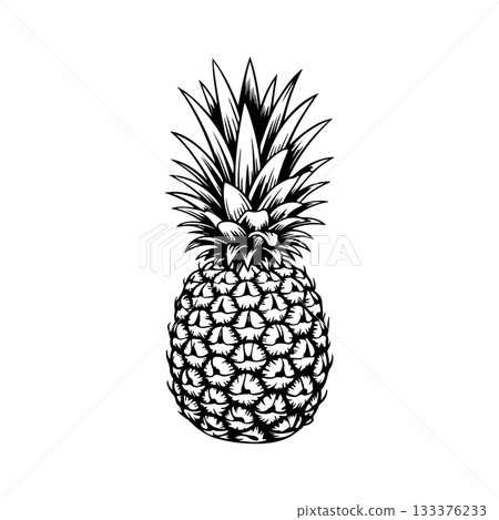 illustration of pineapple in engraving style. Design element for poster, label, sign, emblem, menu. Vector illustration illustration of pineapple in engraving style. Design element for poster, label, sign, emblem, menu. Vector illustration 133376233