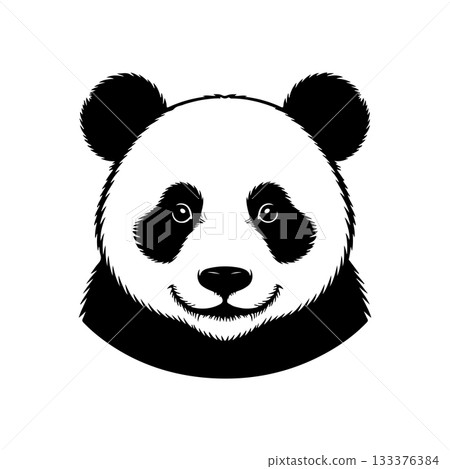 Print 133376384