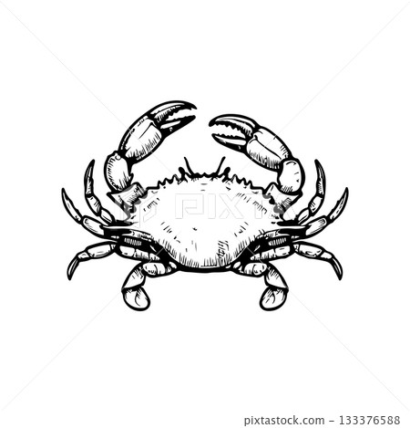 Crab icon isolated on white background. Design elements for logo, label, emblem, sign. Vector illustration 133376588