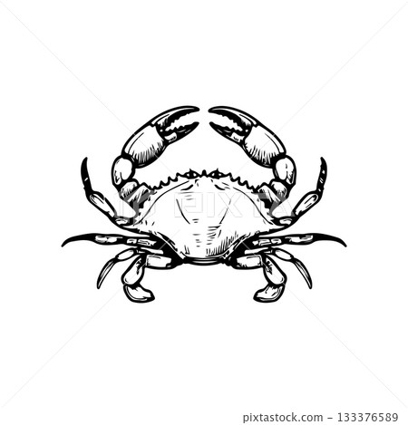 Crab icon isolated on white background. Design elements for logo, label, emblem, sign. Vector illustration Crab icon isolated on white background. Design elements for logo, label, emblem, sign. Vector illustration 133376589