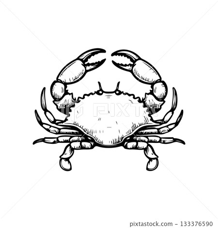 Crab icon isolated on white background. Design elements for logo, label, emblem, sign. Vector illustration 133376590
