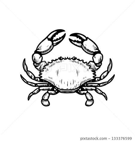 Crab icon isolated on white background. Design elements for logo, label, emblem, sign. Vector illustration Crab icon isolated on white background. Design elements for logo, label, emblem, sign. Vector illustration 133376599