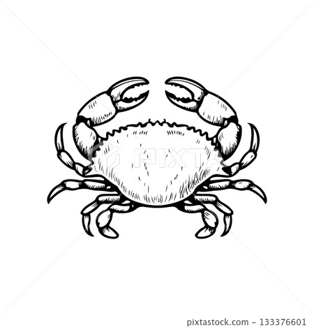 Crab icon isolated on white background. Design elements for logo, label, emblem, sign. Vector illustration 133376601