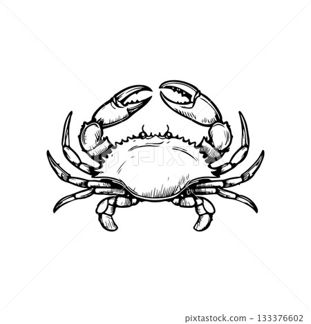 Crab icon isolated on white background. Design elements for logo, label, emblem, sign. Vector illustration 133376602