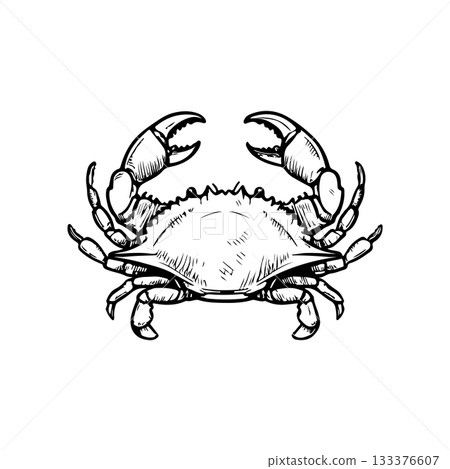 Crab icon isolated on white background. Design elements for logo, label, emblem, sign. Vector illustration 133376607