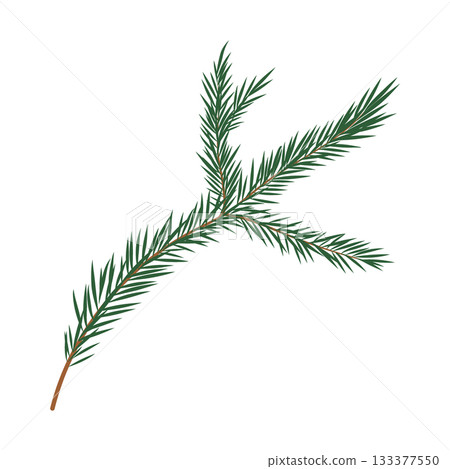 For tree branch vector illustration. Green pine twig with needles isolated on white background. Evergreen conifer holiday decoration for Christmas, winter design, cards, posters in flat cartoon style 133377550
