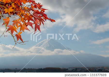 [Autumn leaves and Mt. Fuji] 133377609