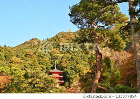秋天從岐阜公園眺望岐阜城 133377954