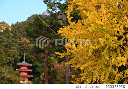 Gifu Castle from Gifu Park in autumn Gifu Castle from Gifu Park in autumn 133377958