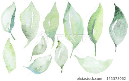 Watercolor light green leaves isolated illustration, pastel wedding stationery element 133378062