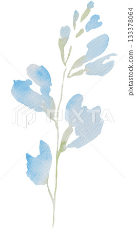 Watercolor light blue wild flower isolated illustration, floral wedding and greeting element 133378064